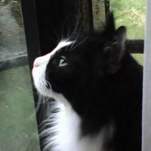 Meet your Posher, Pamela